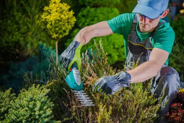 landscaping services Mooreville